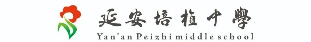 图片 1.jpg