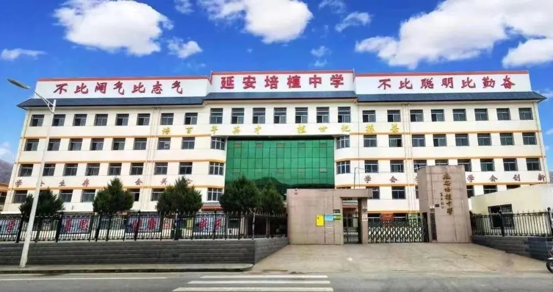 图片 3.jpg
